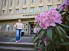 Nina Fellman framför stadshuset, delvis inramad av rosa blommor.